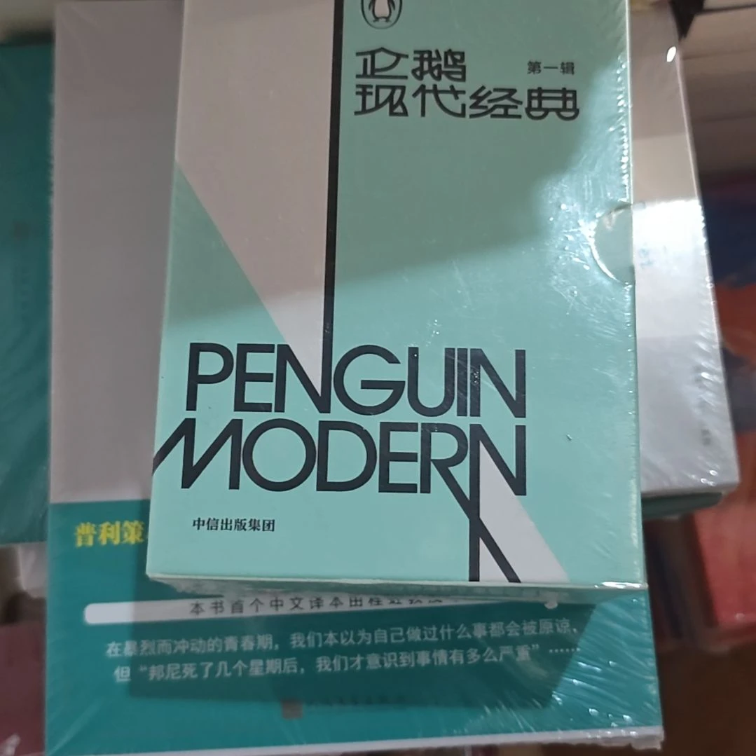 企鹅现代经典一壳子