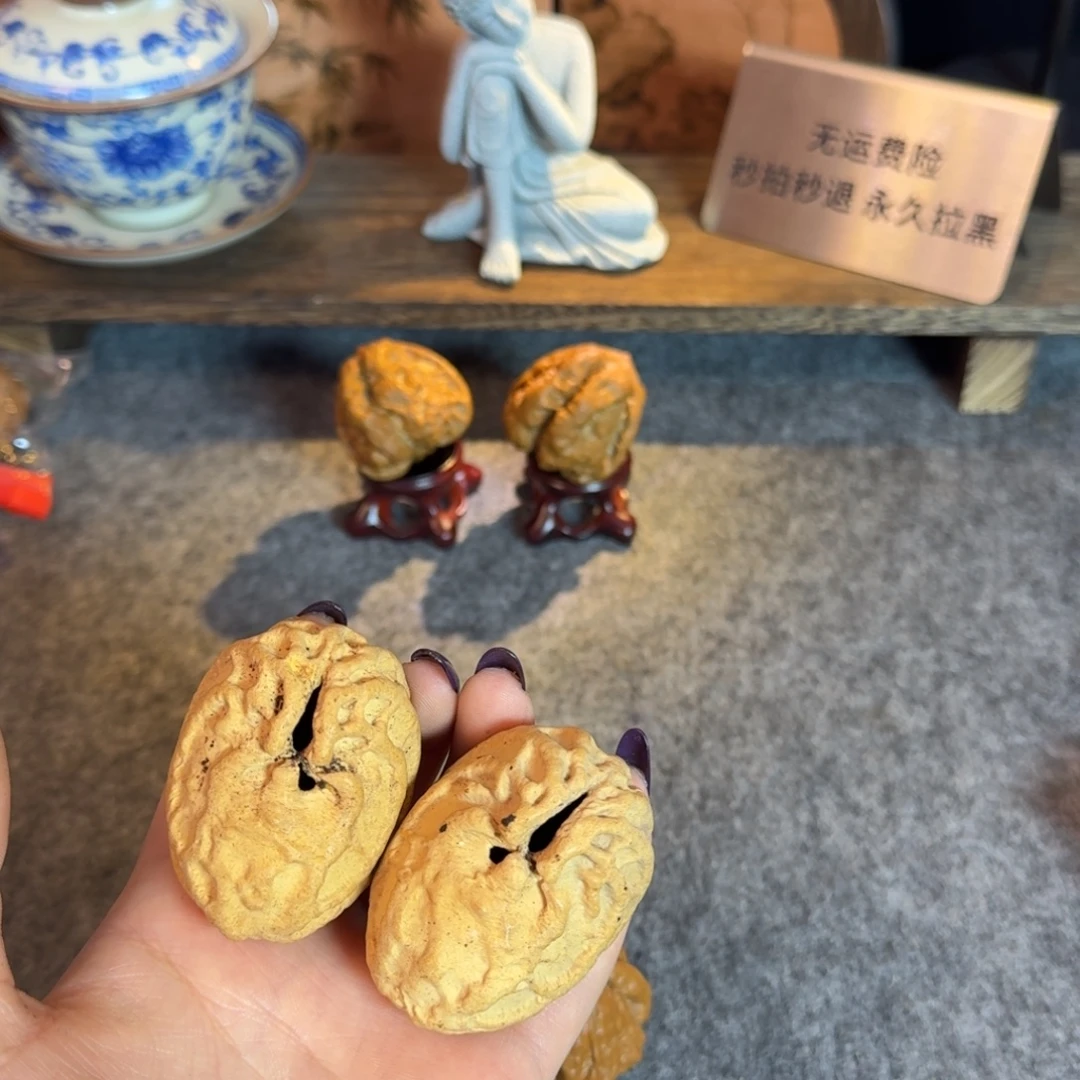 印尼鬼脸白茬骨质好