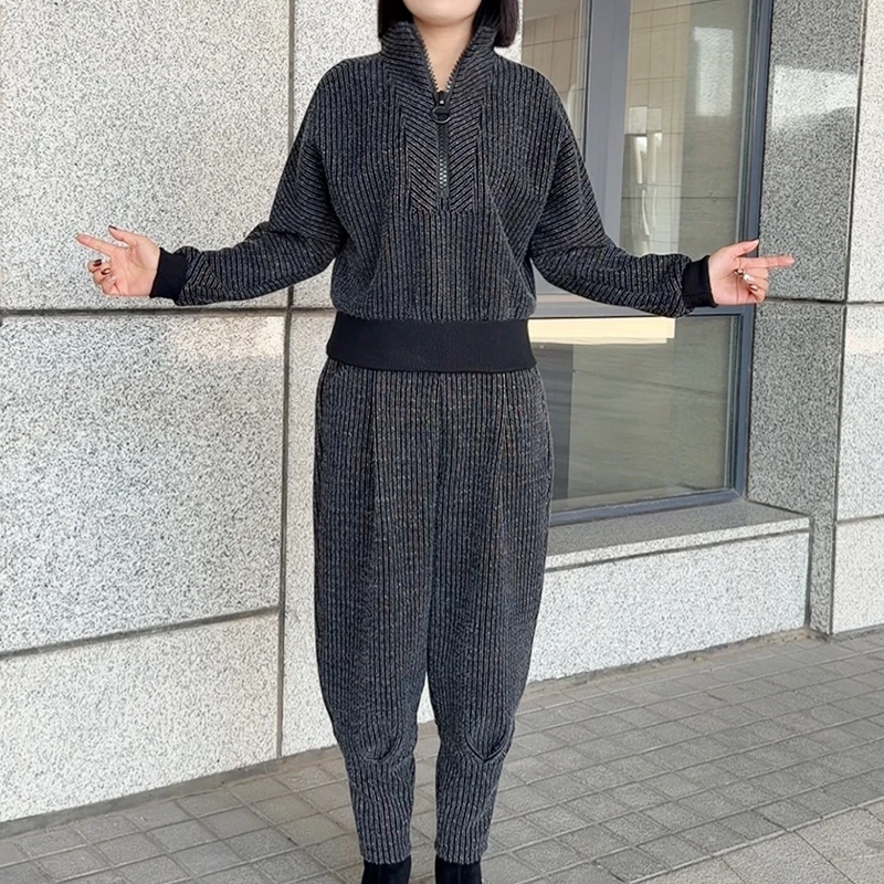 新款拉链立领上衣哈伦两件套2025遮肉洋气显瘦休闲时尚套装