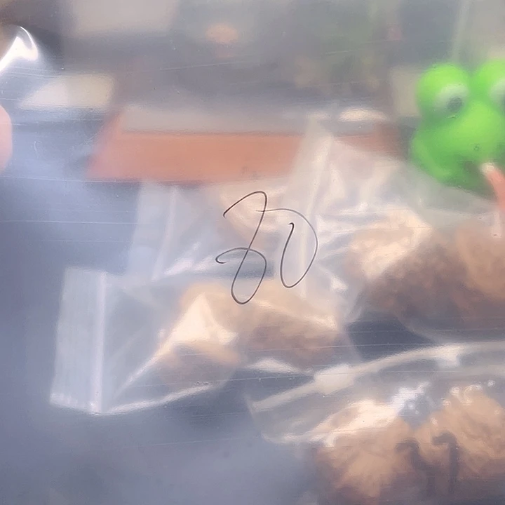 文玩核桃吊坠文玩80