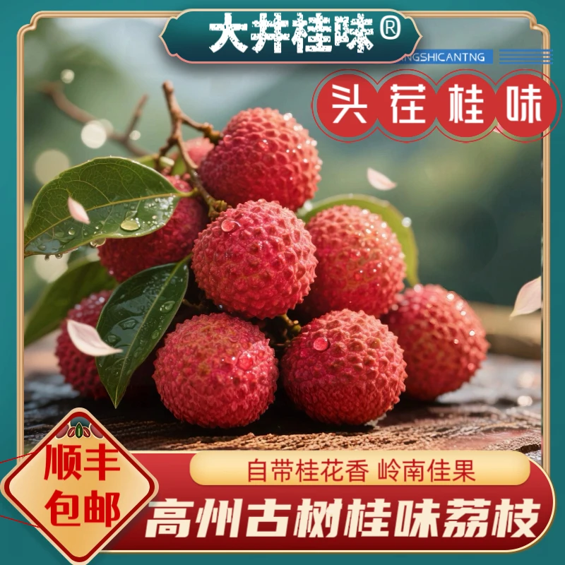 【荔枝次日到】大井古树桂味今天拍明天到3/5斤装新鲜采摘现货直发包邮荔枝同城送