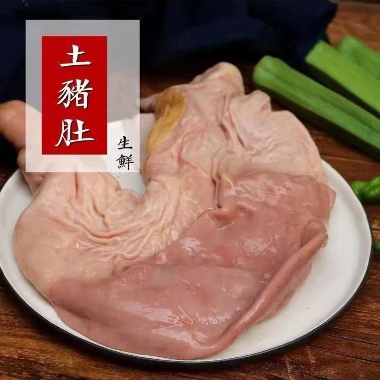 整只冷冻大肚肚子猪肚新鲜特厚农家散养干净无油猪胃生猪批发干净