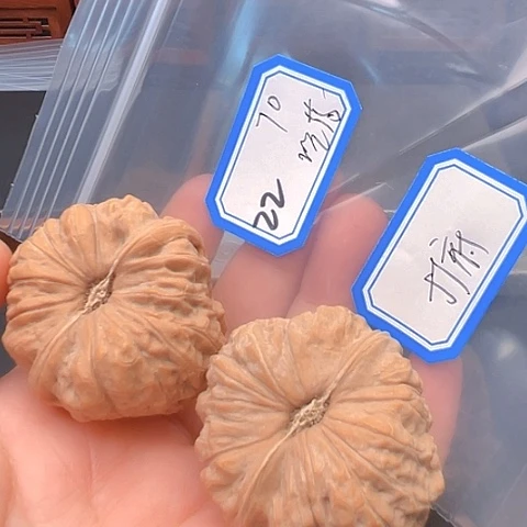 文玩核桃吊坠吃***针南瓜