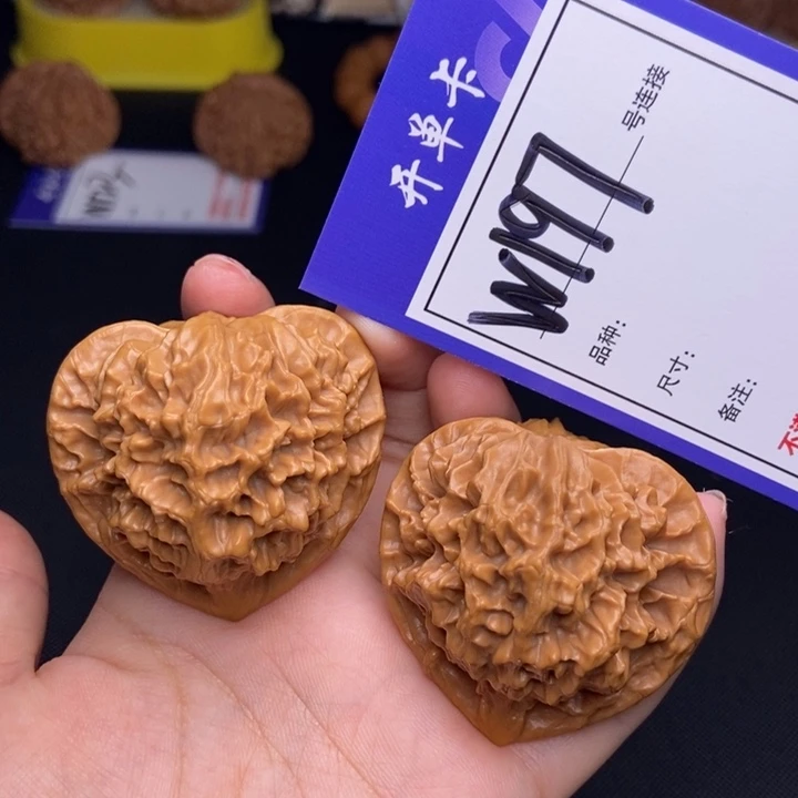 W197链接 帝王46尺 000