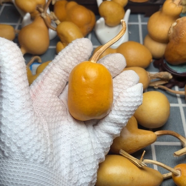 我***爸葫芦坑66666666666