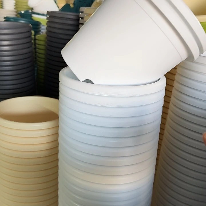 四季4#口径25白色10个无托