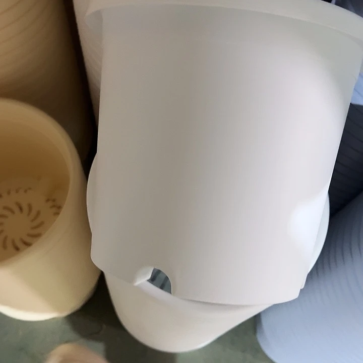 四季4号纯白无托10个特价