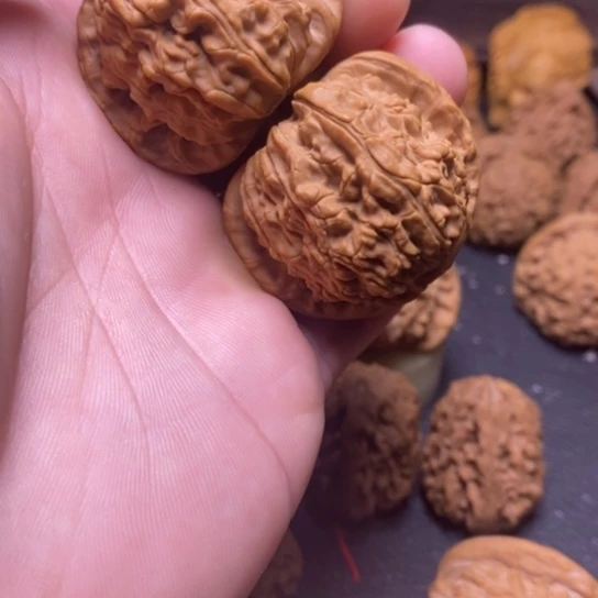 文玩核桃老树白狮子41全亲