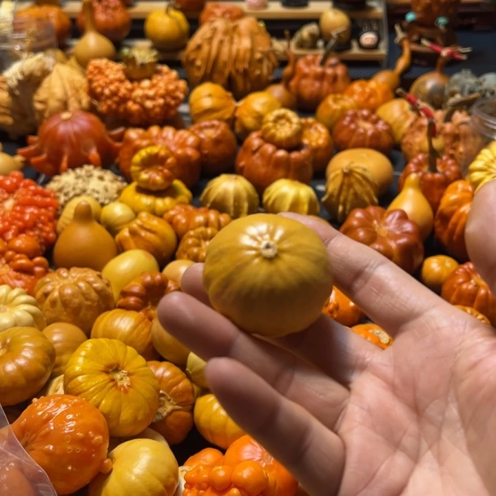 扁花俏色墨西哥葫芦