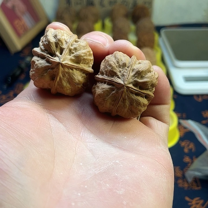 文玩核桃把件5血舍利四棱35