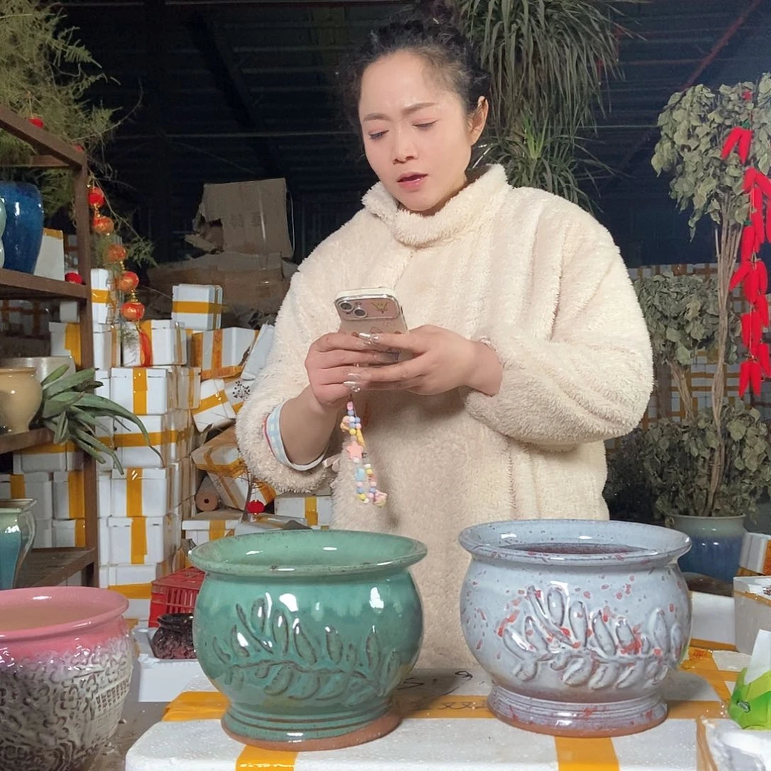 红陶花盆里栽松了一