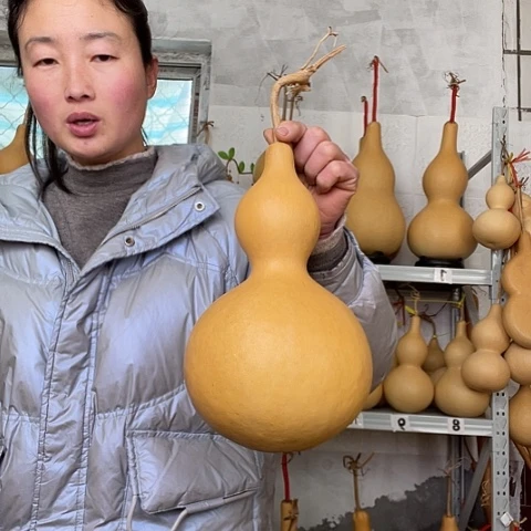 芬天然植物葫芦文玩