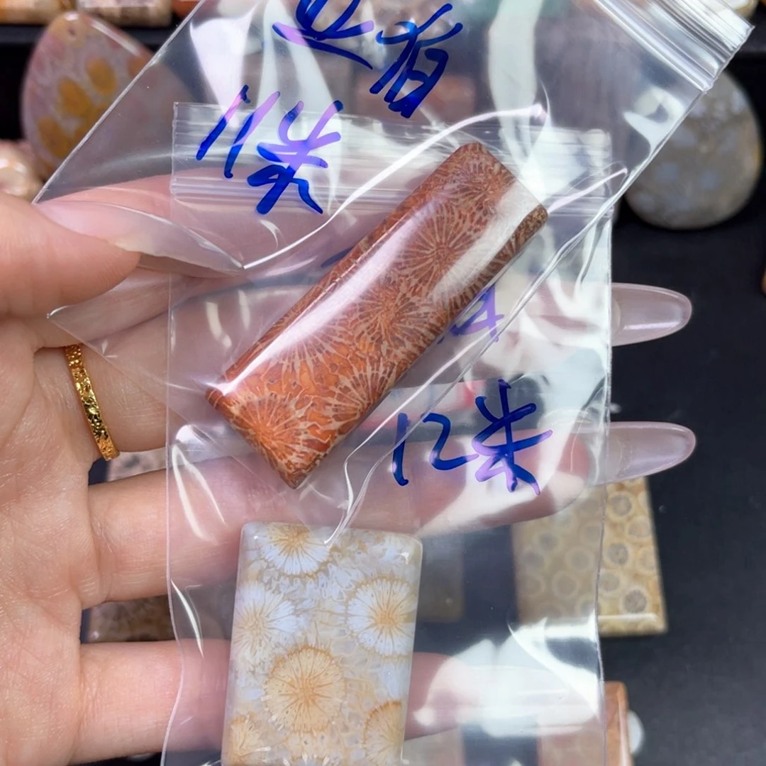 硅化珊瑚（珊瑚玉）未镶嵌吊坠