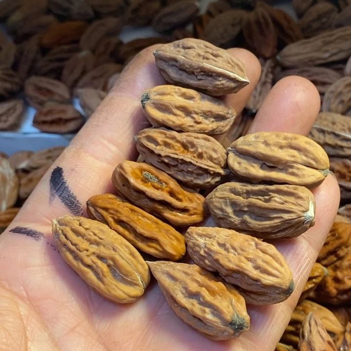 吊坠文玩核桃东北特产202