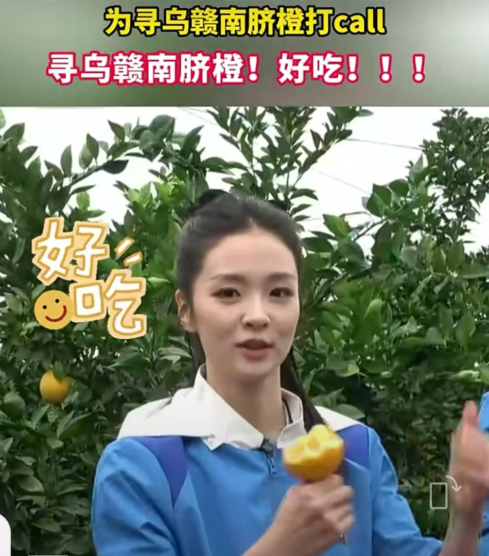 寻乌生态种植赣南脐橙不泡药水不打蜡不催熟孕妇小孩(精品大果)