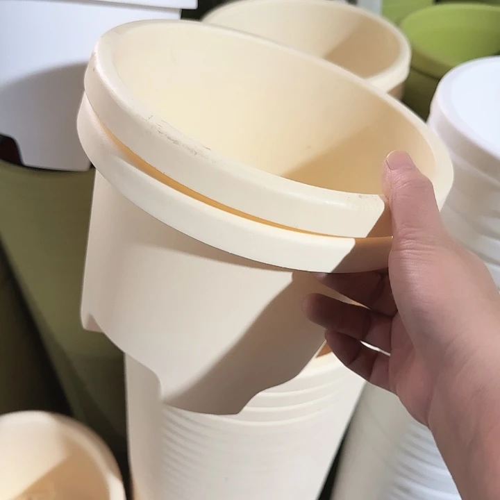 球根21口径6个无托米黄