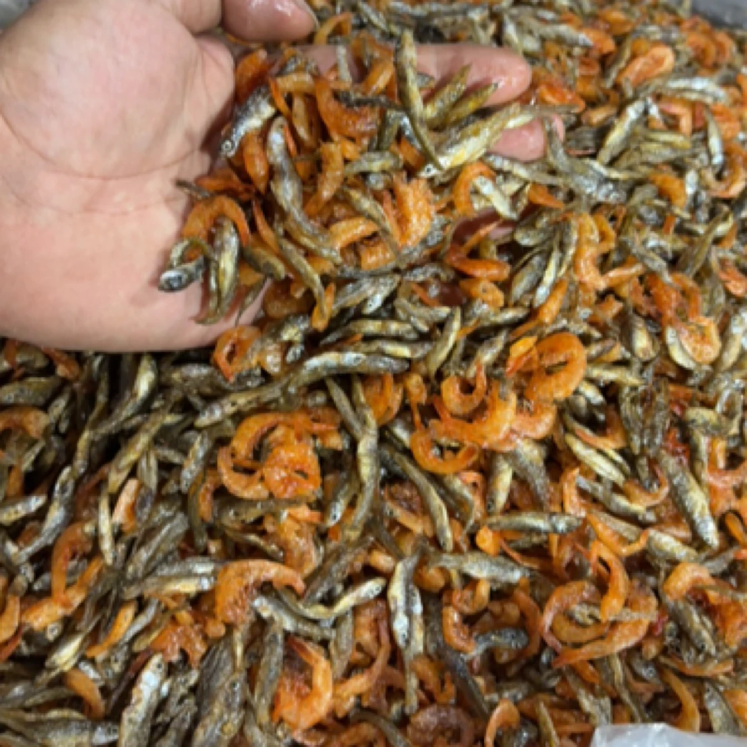 【野生鱼虾混合】湖南湘西淡水小鱼小虾