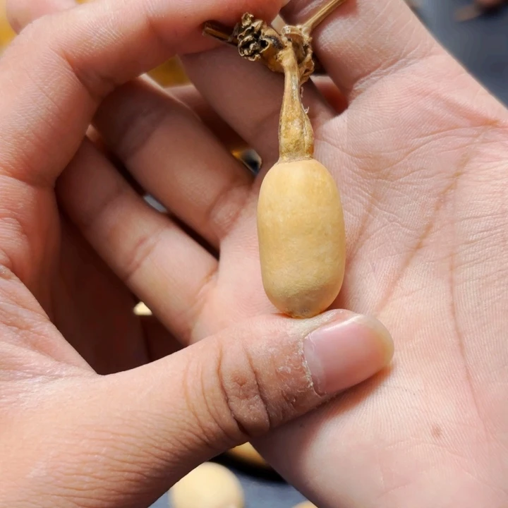 幸**车8888888888888888888