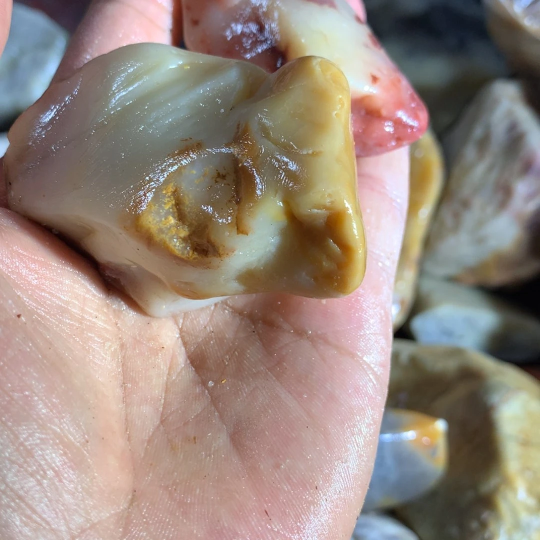 洋***8寿山石88888888888888