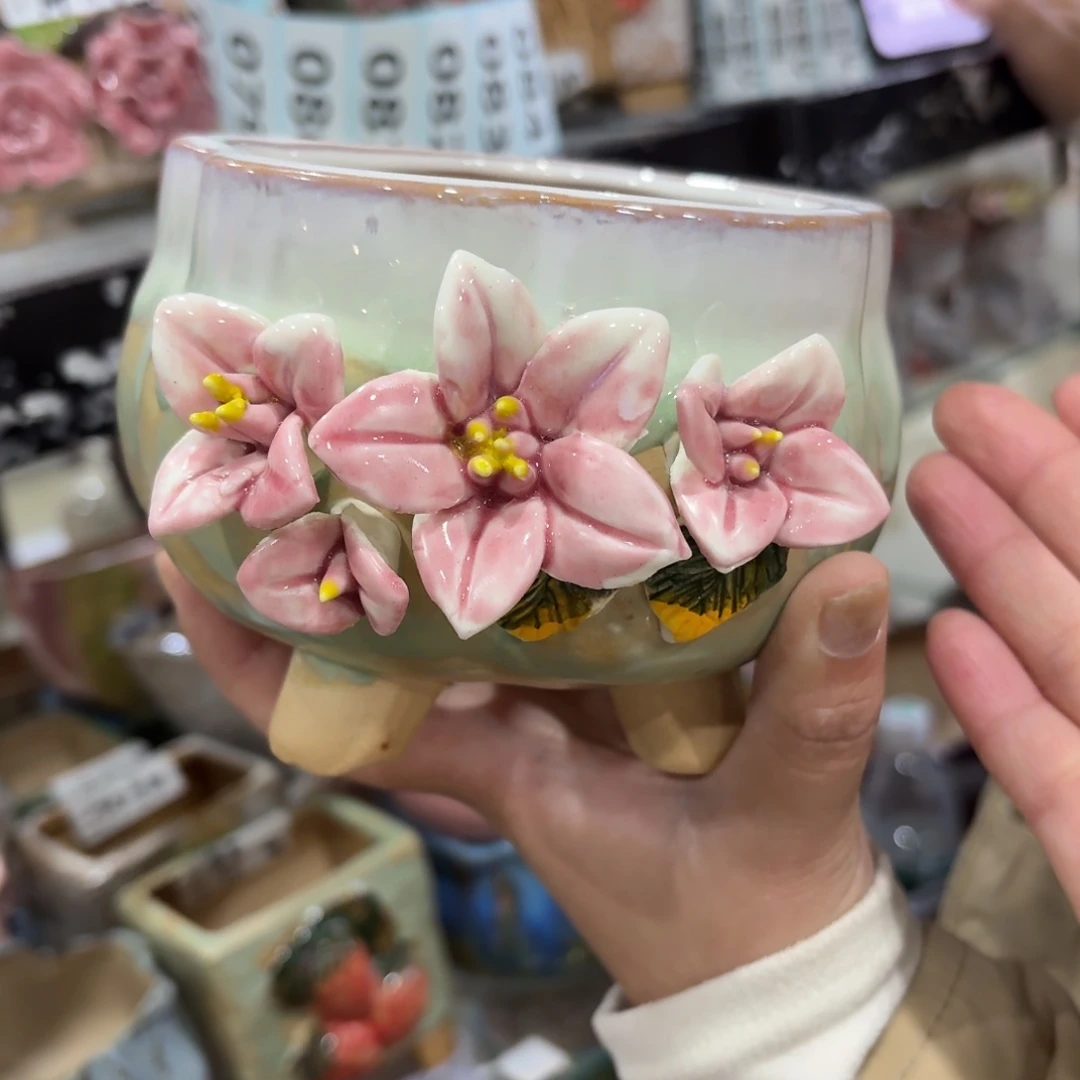 拍满20包邮飞，退款拉黑