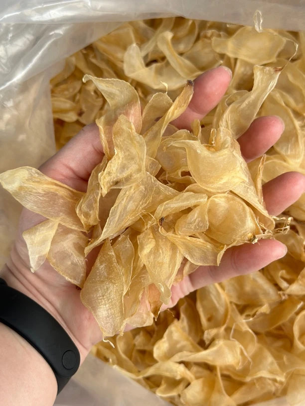 清水竹叶鱼胶花胶营养煲汤滋补海产干货