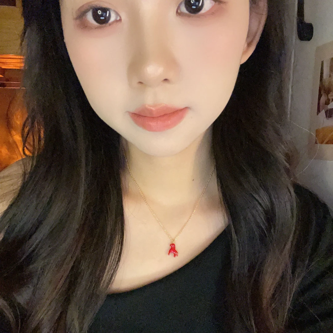 链子925银珐琅 马年珐琅项链女轻奢时尚毛衣链小马生肖本命年颈链