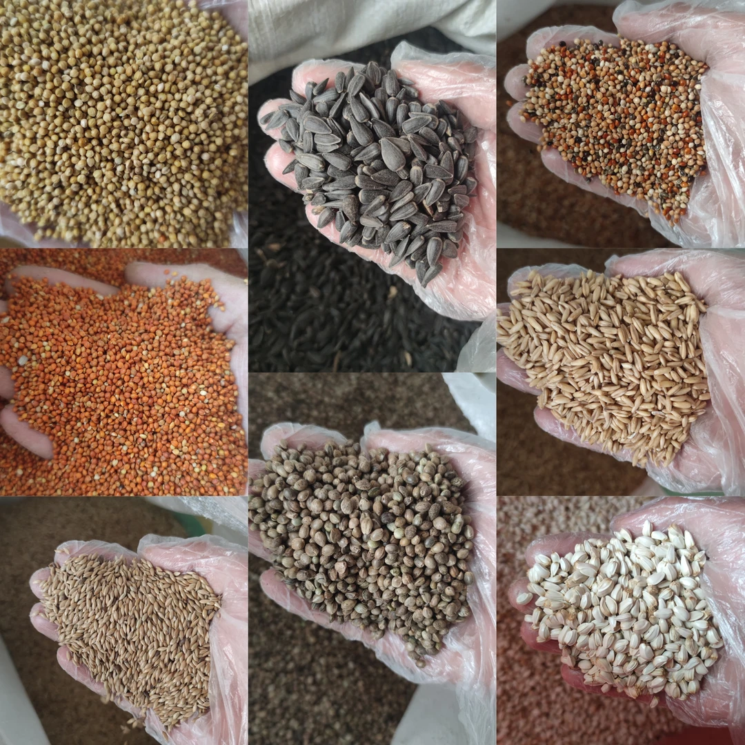 鹦鹉混合种子粮，牡丹鹦鹉种子粮，玄凤鹦鹉种子粮