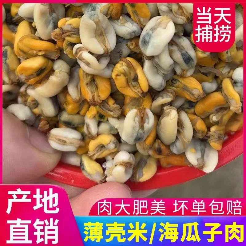 潮汕特产正宗薄壳米肉鲜活新鲜海鲜海瓜子纯肉现打现发顺丰包邮