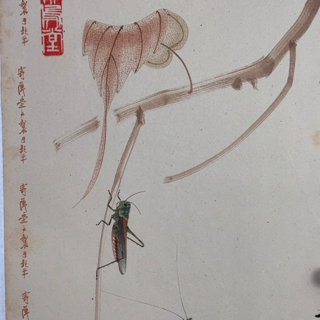 行****拍品商品现货链接