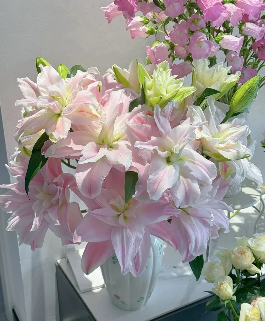 （贵妃）多头发货大花重瓣香水百合切花，云南昆明基地直发