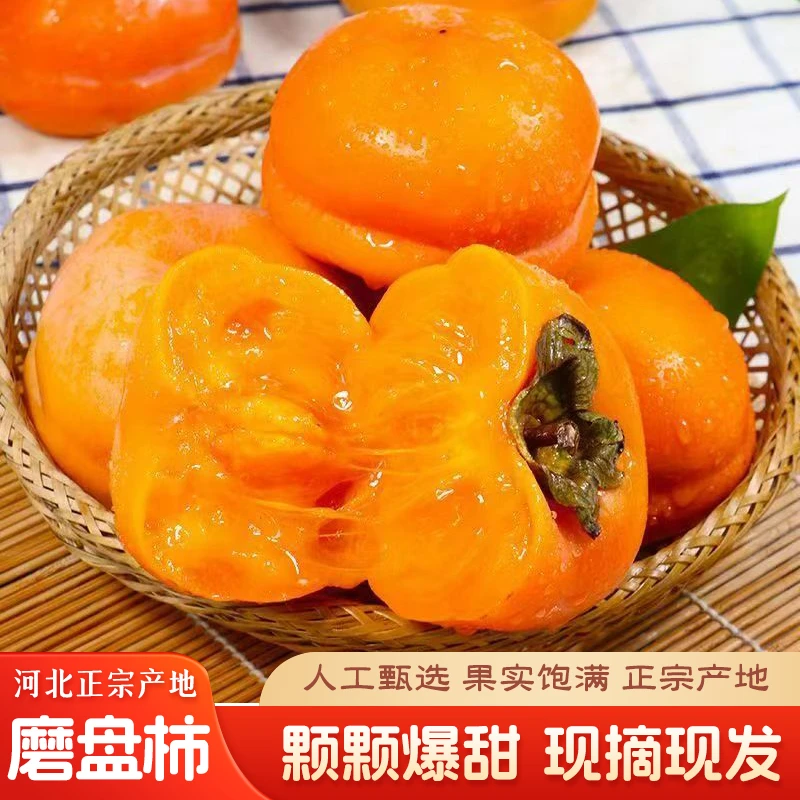 正宗河北磨盘软柿子5斤新鲜水果当季整箱大黄甜软柿子甜应季鲜果