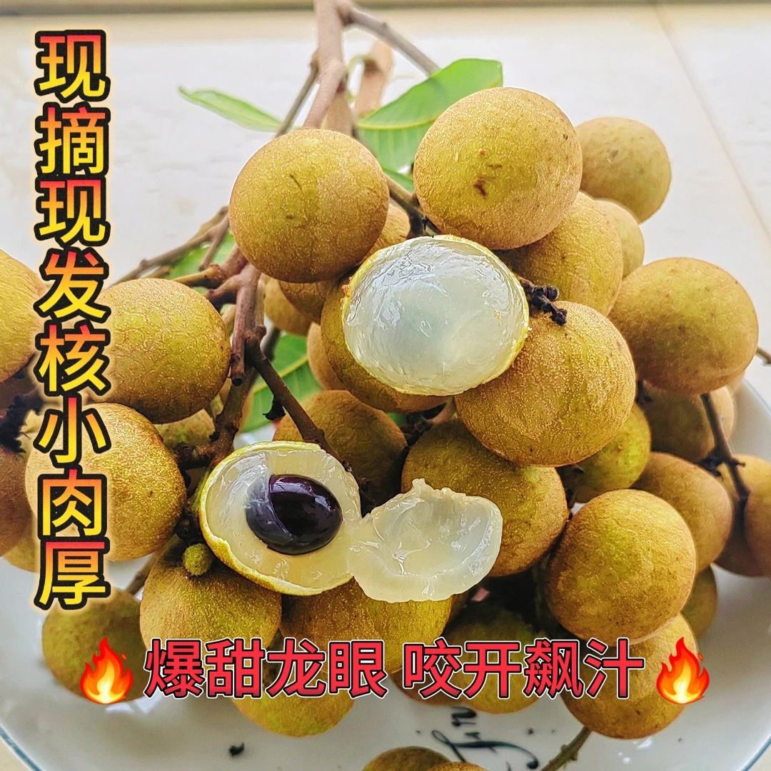 广东茂名新鲜储良龙眼现摘现发清甜肉厚饱满当季水果
