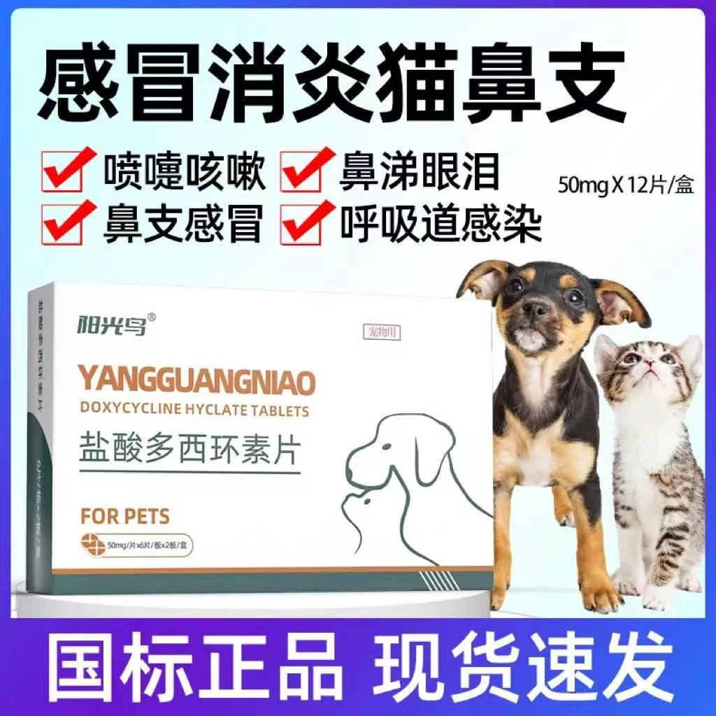 犬猫盐酸多西环素片狗狗气管炎腹泻咳嗽药猫咪鼻支感冒肺炎犬窝咳
