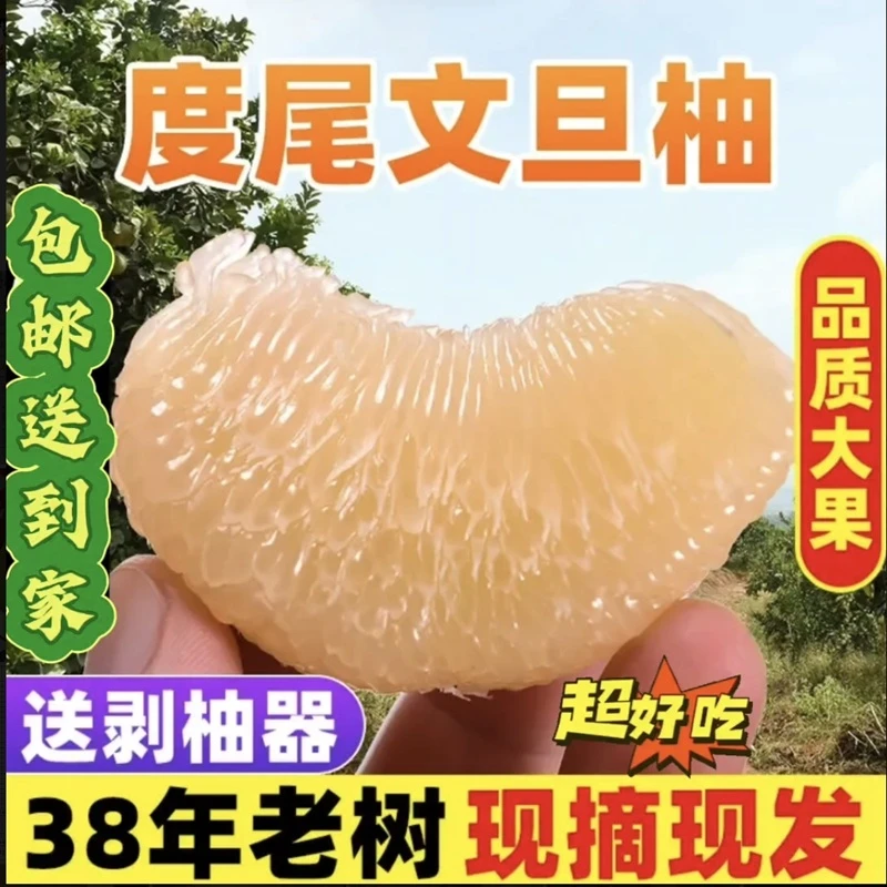 正宗福建莆田度尾文旦柚红心小柚子新鲜当季现摘孕妇应季时令水果