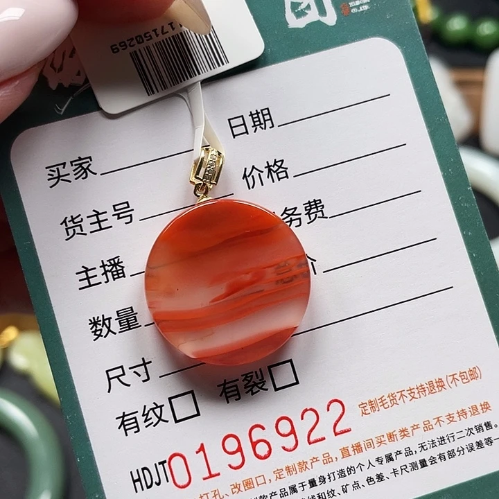 南红玛瑙银S925镶嵌颈饰HDJT0196922