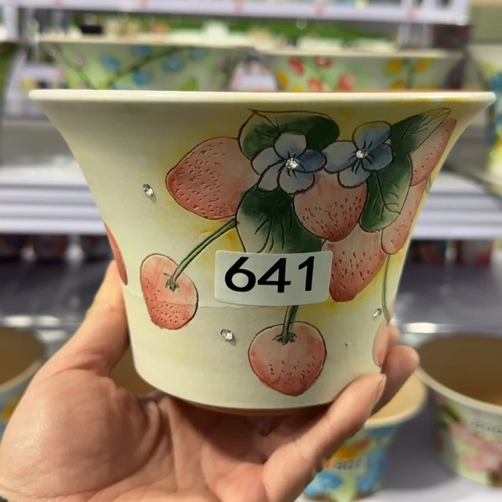 红陶田小姐多肉花盆