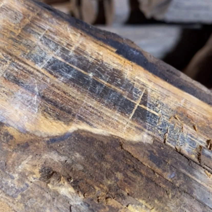 【闪购商品】贡木手串贝*鸭私人订制