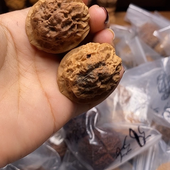 把件文玩核桃云南文玩核桃53号38m