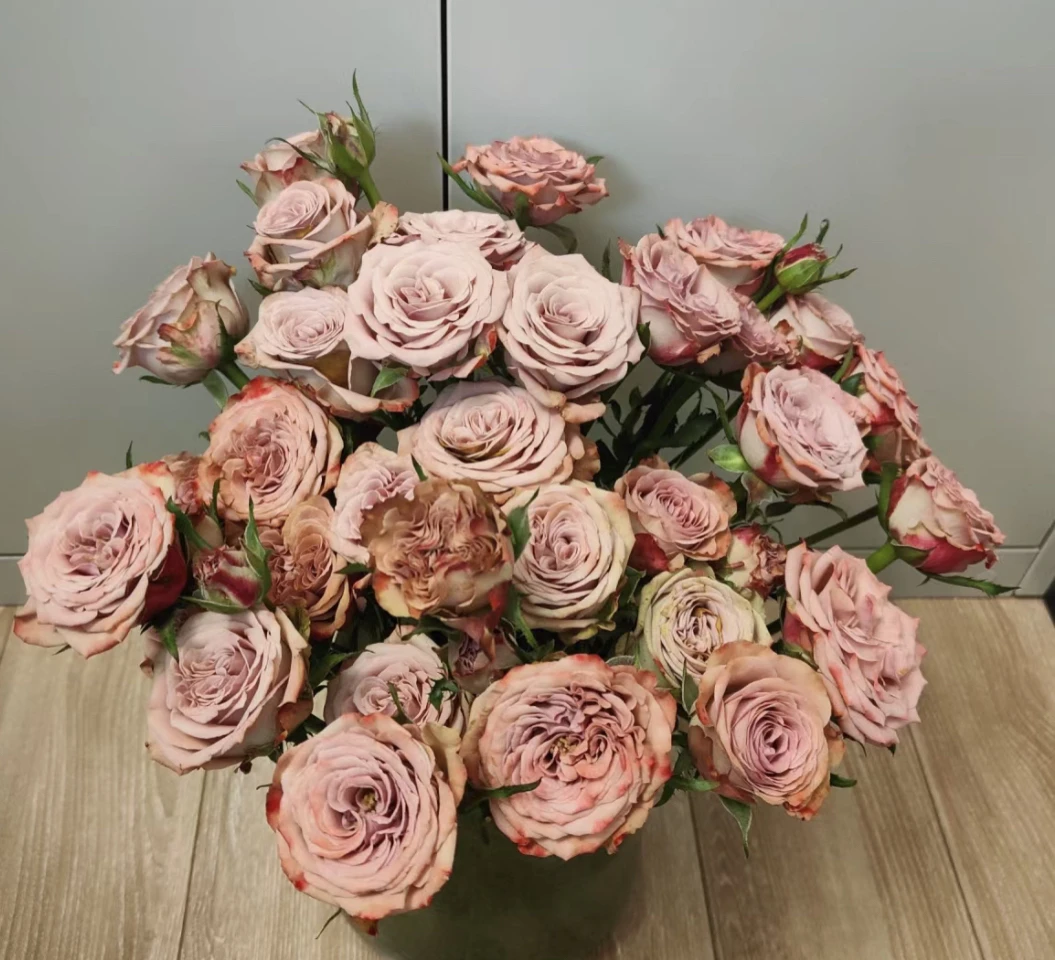 （曼）多头卡布奇诺8支➕2支防损鲜花任意满两单包邮