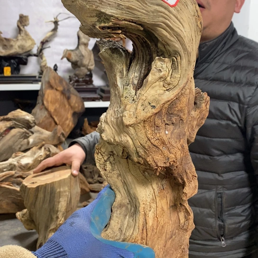 柏木光**月我们都是好孩子