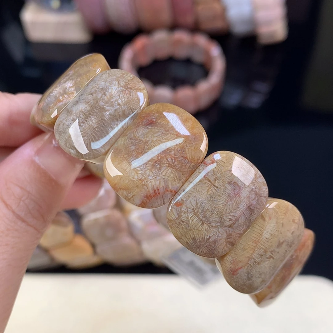【闪购商品】颈饰未镶嵌硅化珊瑚（珊瑚玉）上新手牌14号