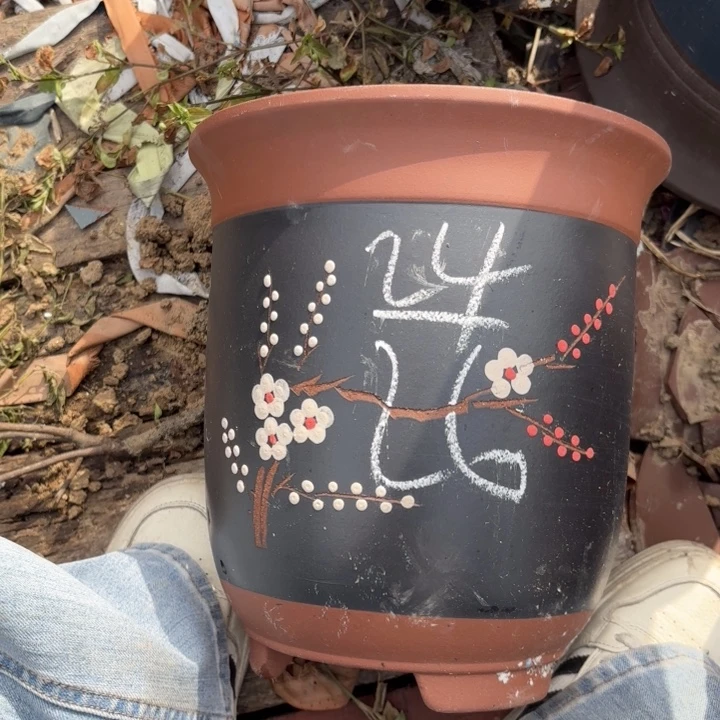 茶壶紫砂紫砂的花