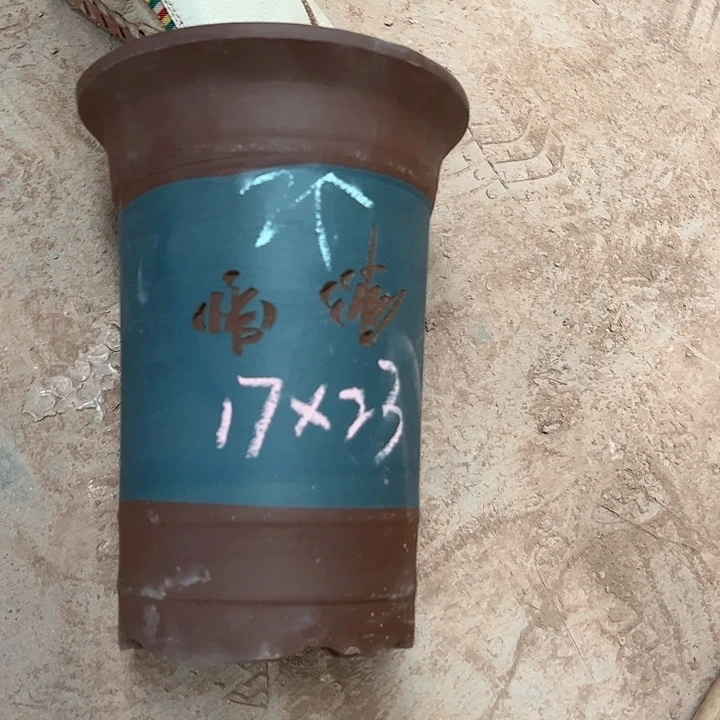 紫砂艺术学院美术