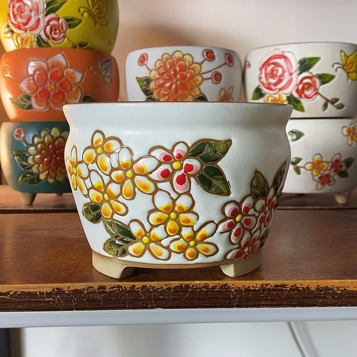 韩式多肉植物花盆