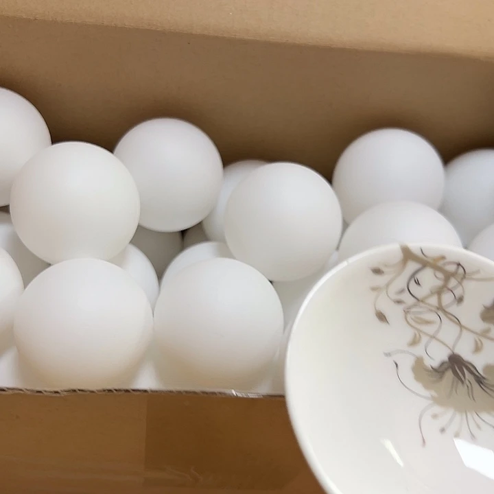 慎拍不退不换紫砂797