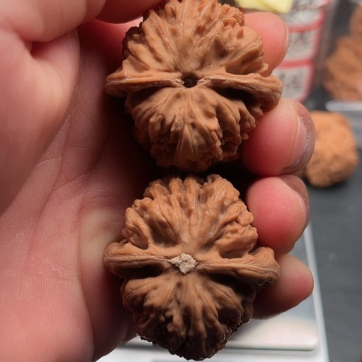 把件文玩核桃粗筋42