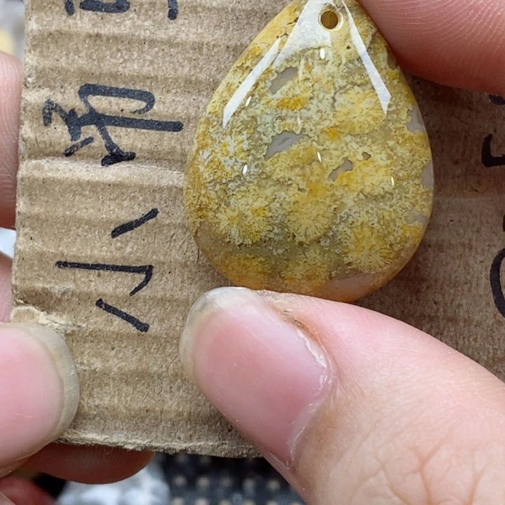 颈饰未镶嵌硅化珊瑚（珊瑚玉）博*