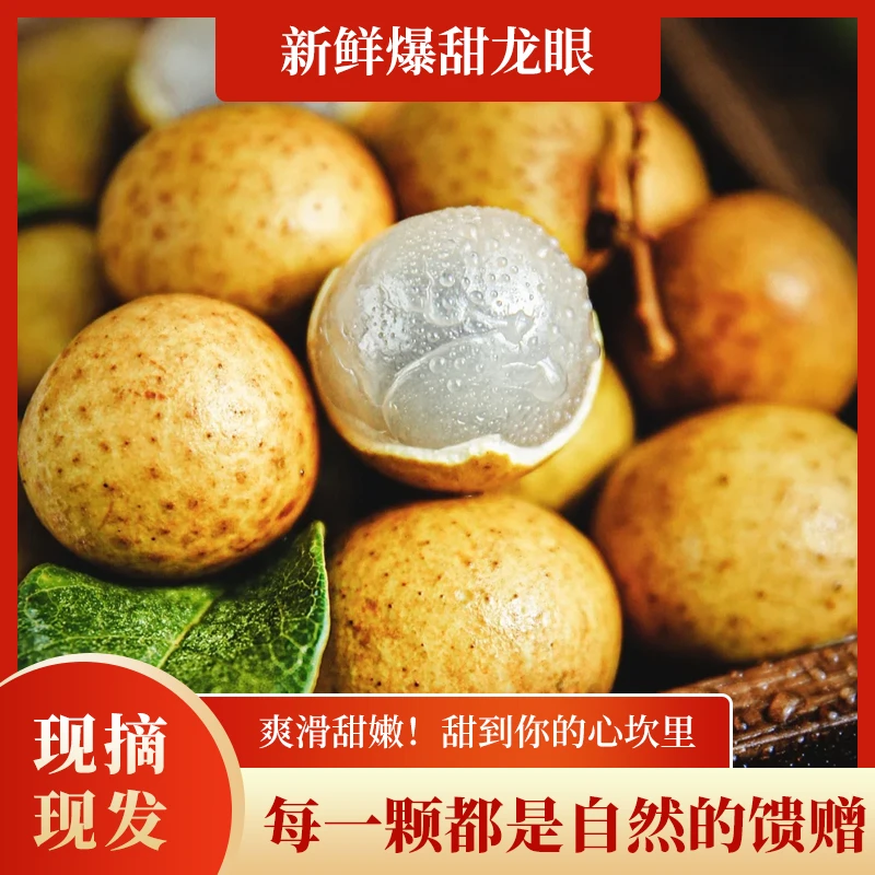 当季龙眼 现摘现发清甜多汁 剥壳见晶莹 清润不上火 净重4.5斤