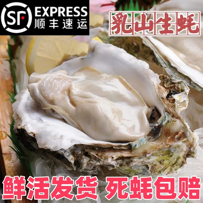 悠望正宗乳山生蚝5斤鲜活牡蛎海蛎子威海海鲜原产地乳山大生蚝