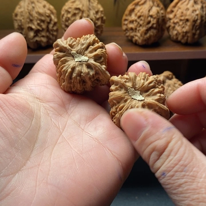 风***人全品无修密文381111